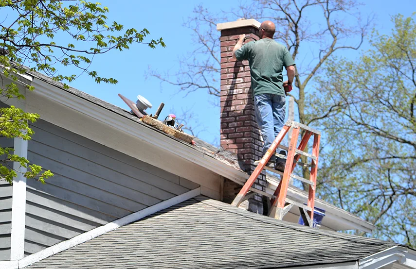 Chimney & Fireplace Inspections Services in Winchester, NV